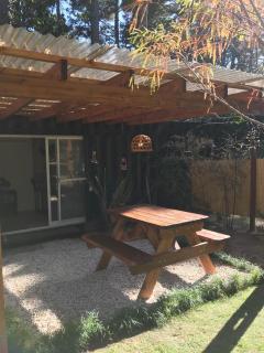 Le volquet Mar de las Pampas - 4