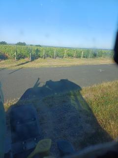 Le Logis du Livier - Saint-Georges-sur-Layon - 1