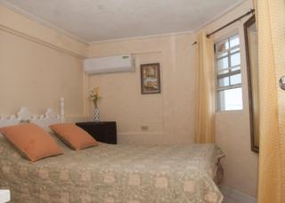 Palm Tree Ville - Saint Peter - 5