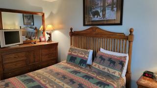 Cozy Cub, Breath taking Mtn views, Indoor pool - Gatlinburg - 4