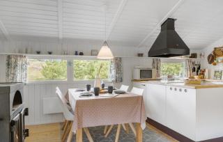 Tziki - Fanø - 4