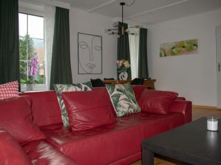 Villa Epoka - Interlaken - 3