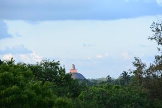 Sacred City Tourist Resort - Anuradhapura - 7