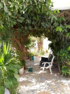 Studio meublé 2ème étage SUD FOIRE GY-199 - 5