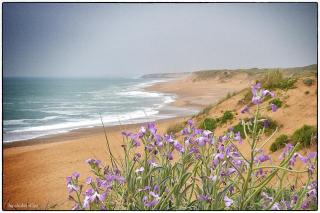 Beach house Sauveterre - 9