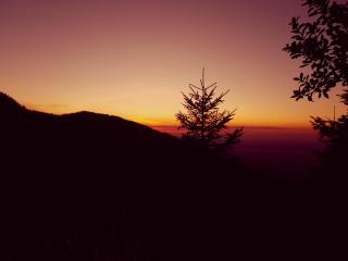 Glamping ZAZEN - Drumu Carului - 2