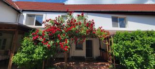 Casa Ducar - 0