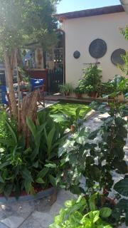 Pension Soula - Skopelos - 5