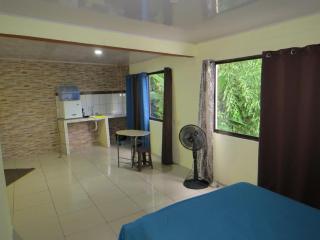 House la Rose Second Floor - Manuel Antonio - 9