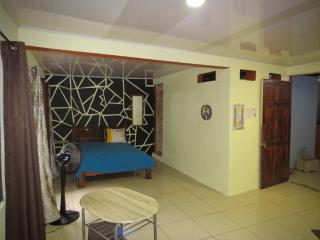 House la Rose Second Floor - Manuel Antonio - 4