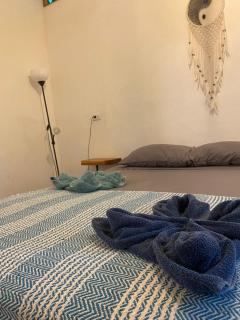 Caribbean Retreats - Cocles - 5