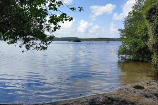 location appartement - Soustons - 8