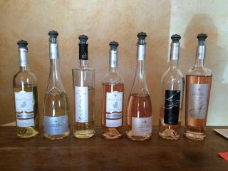 Small vineyard in Provence - Le Thoronet - 7