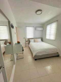 Gorgeous Remodeled Gem Santurce IV - San Juan - 5