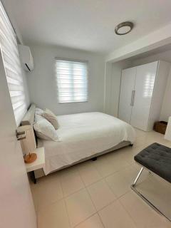 Gorgeous Remodeled Gem Santurce IV - San Juan - 3