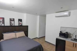 Santurce Studio- Newly Renovated 2 - San Juan - 9
