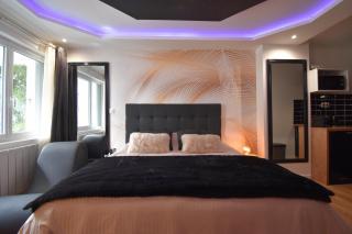 Appart Spa Sauna Balnéo exterieur au Cœur du Havre - Le Havre - 6