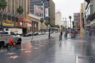 Travel Haven at Miracle Mile- 110 - 2