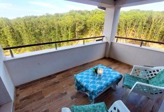 Forest View Apartment - Shkorpilovtsi - 4