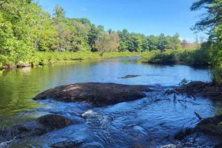 Muskoka Bliss - Hydro Glen - 7