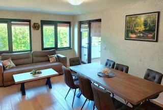 Forest View Apartment - Shkorpilovtsi - 9