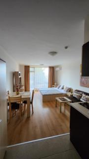 Aspen Golf Resort and SPA, Studio J006 - Bansko - 8