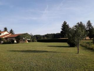 Maison au calme dans la verdure - 2