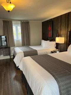 Motel Belvedere - 8