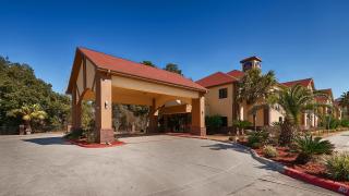 Best Western Inn & Suites - Lake Charles - Lake Charles - 5