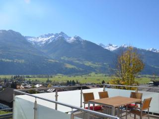 Panorama TOP 2 - Piesendorf - 9