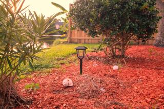 Savannah Lakefront Retreat near Tybee Beach with King Bed and Free Parking - Savannah - 3