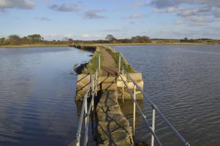 Birdham Three - Bembridge - 6