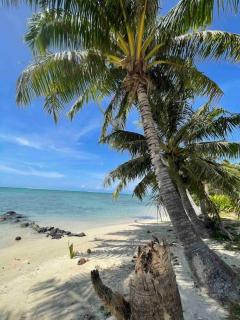 Fully equipped Bungalow next to a white sand beach - Moorea - 1