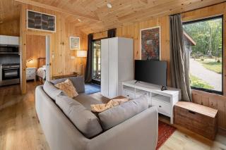 Vermont Scandinavian Chalet - Arêches - Wolcott - 1