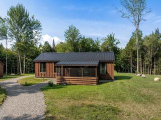 Vermont Scandinavian Chalet - Arêches - 9