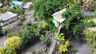 Tanna Volcano View Tree House - Lankourou - 9