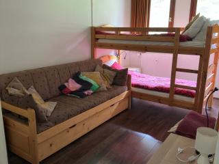 Appartement confort 3P · Proche pistes · WIFI · 6 personnes - FR-1-425-225 - Arâches-la-Frasse - 5