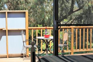 Just Beachy - Quiet Relaxing Pet Friendly - Guilderton - 0