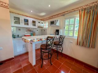 Villa Pajaros - Isla Mujeres - 4