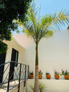 Alojamiento entero Casa Tozcano - Città di Oaxaca - 7