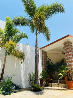 Alojamiento entero Casa Tozcano - Città di Oaxaca - 1