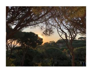 Résidence la Pinède - Sainte-Maxime - 0