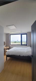 Jeju Paradise House - Seogwipo - 2