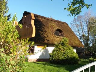 Reetdach Ferienhaus nahe Ostseebad Kühlungsborn - Gersdorf - 0