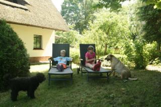 Reetdach Ferienhaus nahe Ostseebad Kühlungsborn - Gersdorf - 7