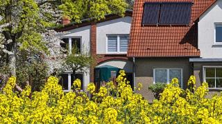 Landhaus am Bauernhof im Ostseeland - Boldenshagen - 7