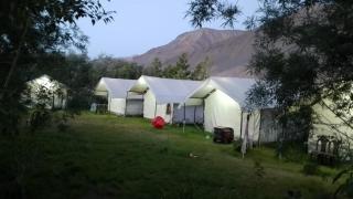Padmaling guest house zanskar eco camp - Padam - 3