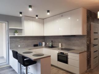 Tauzen Apartaments 18 - Katowice - 1