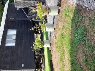 Lower Haven Shepherds Hut - 3