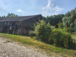 Ferienwohnung Am Neetzetal - Thomasburg - 8